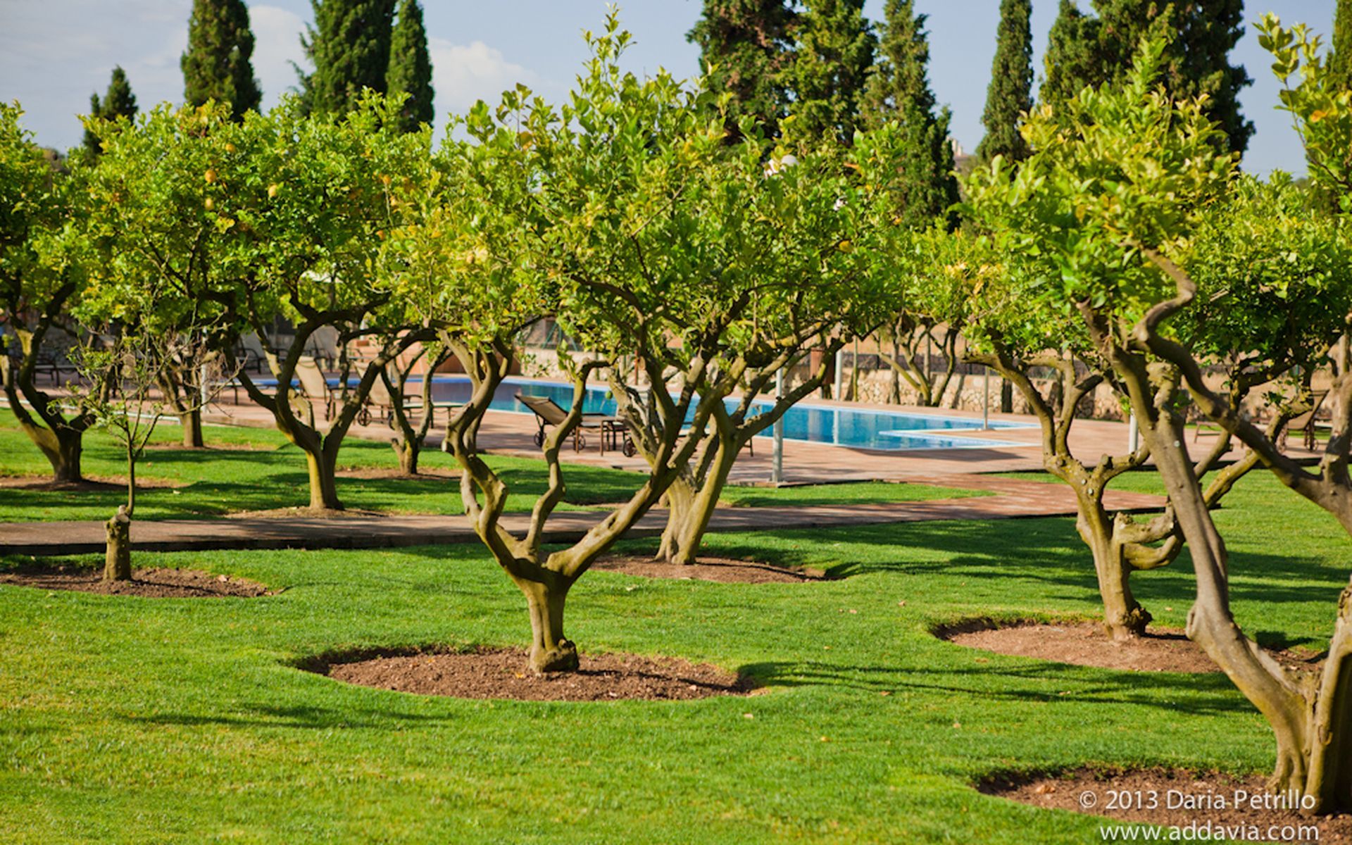 Finca Son Roig Hotel Porreres Exterior photo